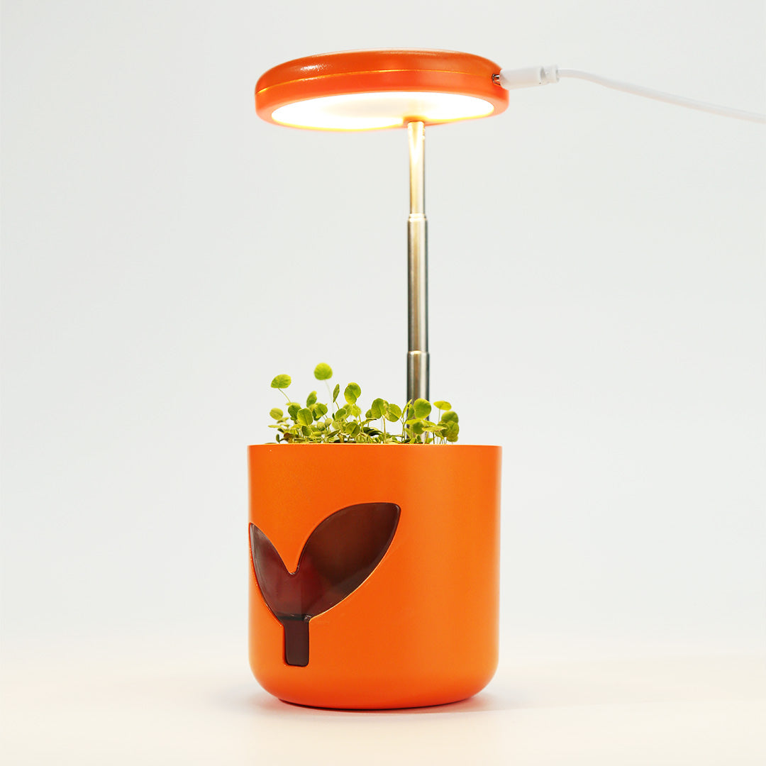 Indoor Hydroponics Planter With LED Grow Light | MarsPlanter