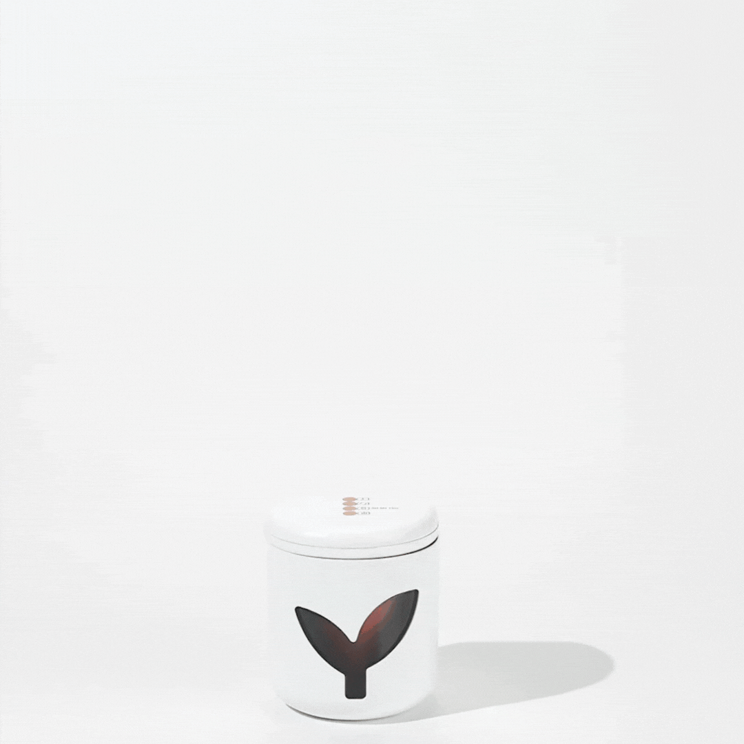 Indoor Hydroponics Planter With LED Grow Light | MarsPlanter